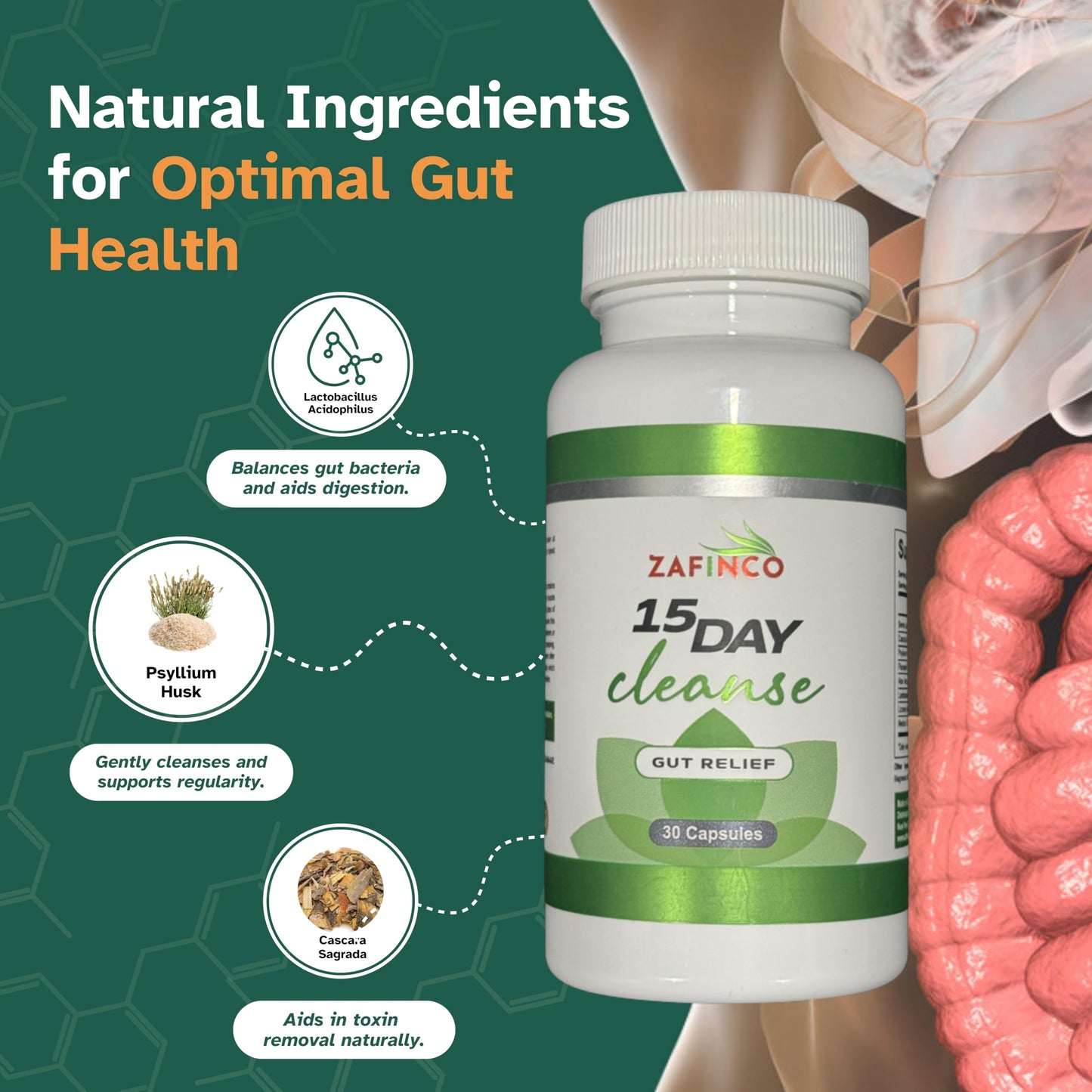 ZAFiNCO Gut Relief-15 Day Colon Cleanse n Detox, Intestinal Cleanse for Men&Women. Advanced Constipation Relief, Non-GMO Colon Cleanse Probiotics, 30 Capsules 1-2 Daily-Made in The USA